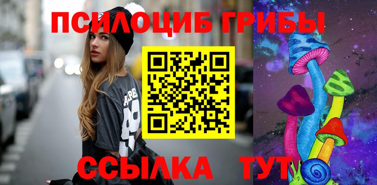 Псилоцибиновые грибы мицелий  цены наркотик  Богданович  Вход с VPN 