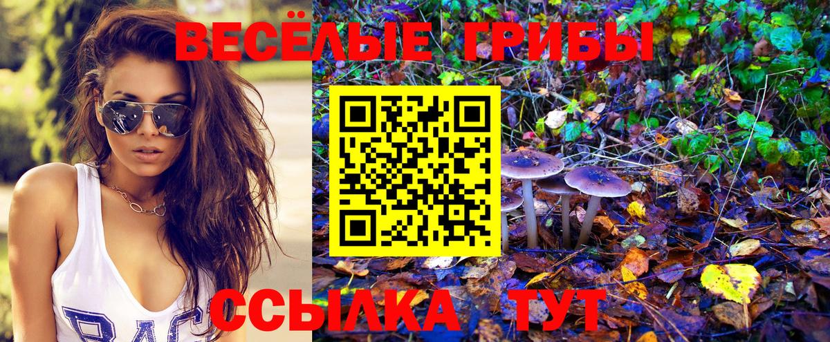 Галлюциногенные грибы ЛСД Богданович